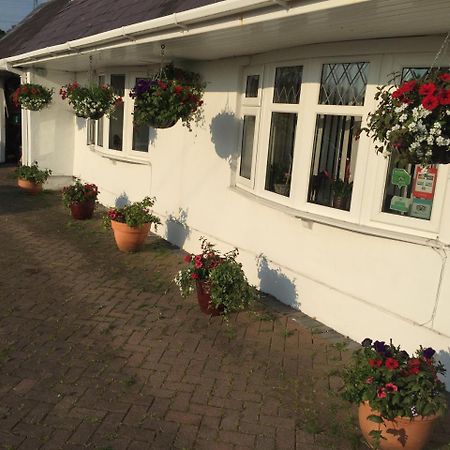 Brynawel Farm B&B Pontlliw エクステリア 写真