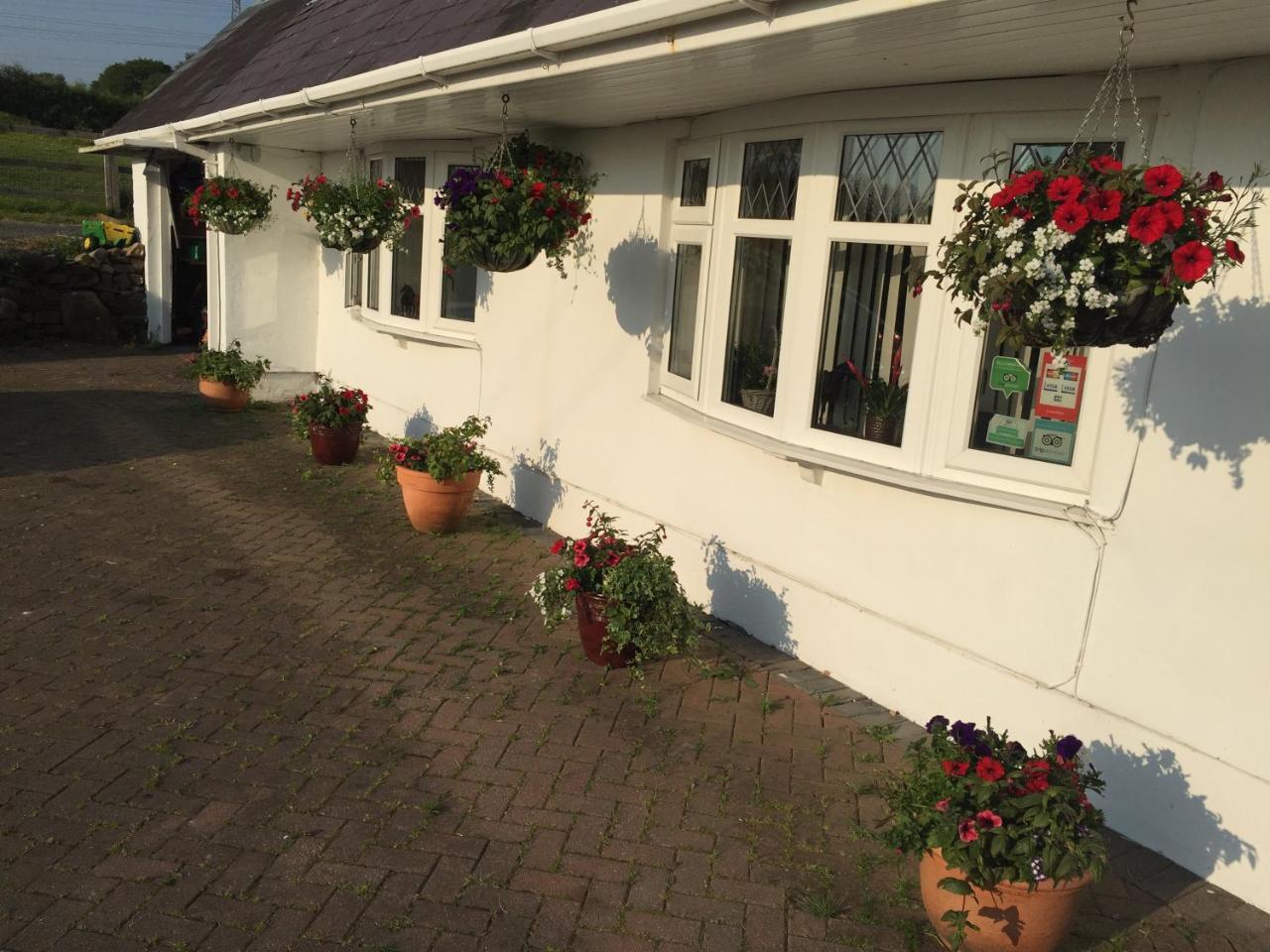 Brynawel Farm B&B Pontlliw エクステリア 写真